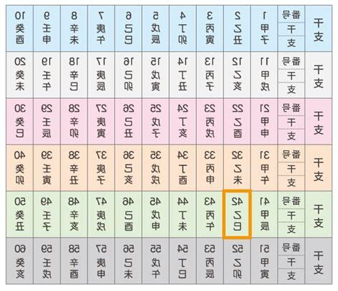 乙巳年 性格